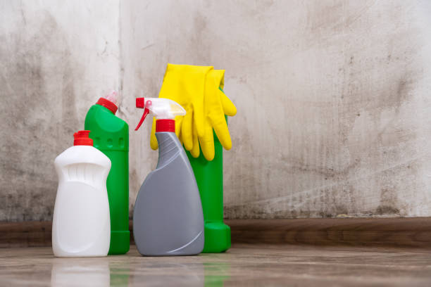 Mold Odor Removal Services in Waldo, FL